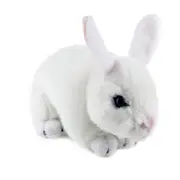 Bocchetta Plush Bunny Cotton White Dutch Rabbit