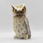 BH6767 HANSA Blakiston's Fish Owl 26