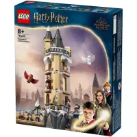 在飛比找momo購物網優惠-【LEGO 樂高】76430 哈利波特系列 Hogwarts