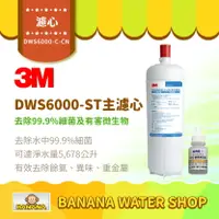 在飛比找樂天市場購物網優惠-【3M】DWS6000-C-CN 活性碳濾心 DWS6000