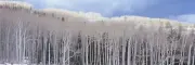 ShelfScapes #3434 Winter Out West 10" x 30" Backdrop Diorama For Toy Soldiers