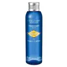 L'OCCITANE IMMORTELLE EYE MAKE UP REMOVER 4.2OZ/125ML NEW