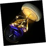 MAGICLULU Handmade Immortal Flower LED Lamp in Glass Dome Decor for Home Office Present Unique Floral Artwork with Warm Lighting No Battery Included