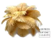100 Pieces -6-8" Old Gold Wholesale Ostrich Wing Feathers Halloween Mask Costume