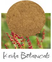 ORGANIC SHEEP SORRELL POWDER Herbal Remedy PREMIUM GRADE Dried Rumex acetosella
