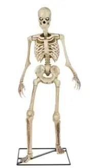 Home Accents Holiday 3 ft. LED Skeleton (Home Depot Skeleton) *READY TO SHIP*