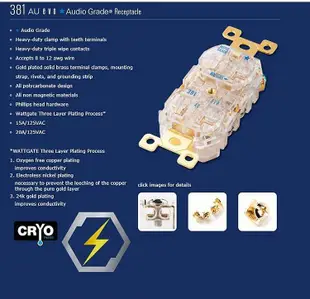 美國 WATTGATE 瓦特 381 RH/AU EVO進階