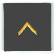 E1 Private Rank Patch Gold Black Fits For VELCRO® BRAND Loop Fast (2")