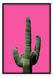 Fluro Cactus