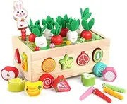 FUZETAO Toddlers Montessori Wooden Educational Toys for Baby Boys Girls Age 2 3 4 Year Old, Shape Sorting Toys Gifts for Kids 2-4, Wood Preschool Learning Fine Motor Skills Game