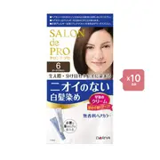 Dariya - Salon De Pro - Hair Color Cream - 6 Dark brown 10PCS set