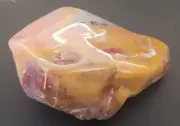 Polished Agate Petrified Wood Volcanic Limb Cast W/ Deep Colors Yellow Cat Utah