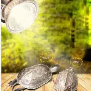 Reptile Lamp UVA+UVB 3.0 Pet Heat Lamp Bulb Turtle Basking Light Bulbs