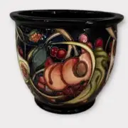 Moorcroft Queens Choice Jardiniere Pottery Signed Emma Bossons OVER GLAZE