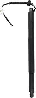 Electric Tailgate Strut,1PCS Car Rear Electric Tailgate Strut,Compatible With BMW X6 F16 2015-2019 Left 51247434043 Right 51247434044(Rh)