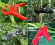 Secured Plastic Plant Support Clips Reusable Clips Tomato Vine Clips String