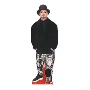 George O'Dowd Musician Lifesize and Mini Cardboard Cutout / Standee / Standup