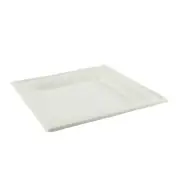 Amercare DP10NPFA 10 in Square Plate