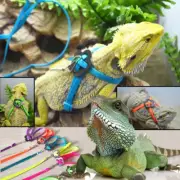 Homoyoyo Adjustable Leash for Lizard Parrot Leash Outdoor Cage Pet Parrot Bir...