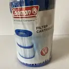 Coleman Filter Catridge VI for Coleman Lay-Z-Spa, Sealed (2 Filters) Brand New