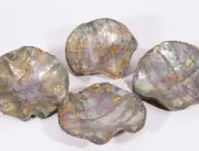 Set of 4 Fluted Iridescent RAKU Ceramic Dishes Lisa Westheimer Studio 5.5" x 2"