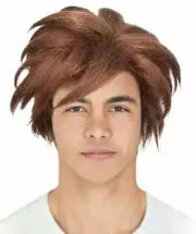 Men's Dragon Trainer Wig | Brown Wigs HM-1159