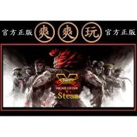 在飛比找蝦皮購物優惠-購買 PC版 爽爽玩 單人+多人連線 STEAM 終極快打旋