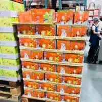 在飛比找蝦皮購物優惠-白咖啡 咖啡 單包賣 每包$9 好市多costco  Dar