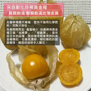 【果氏果園】季節限定 產地直送最新鮮 預購 彰化日本品種鮮採黃金莓x10盒(約150~155g/盒_約13~16顆/盒_燈籠果_產地直送)下訂後9個工作天內出貨