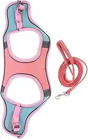 Pet Controlling Rope Adjustable Cat Leash and Vest Set Kitten Escape Proof Vest for Safe Walks