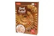 Keycraft - Fossil Dig Kit