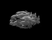 Swarm of Quippers Pirahna Monster Manual 28mm Scale DND D&D Tabletop Mini