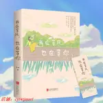 我在等風也在等雨彤著少年的顏色時光都市校園言情小說青春文學書