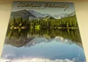 SCENIC BEAUTY 2022 CALENDAR 12 MONTH 12'"X 12" CLOSED MOUTAINS NATURE