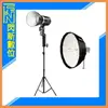 GODOX 神牛 ML60 60W 白光 攝影燈+280cm燈架+S65W 柔光罩 套組(公司貨)【APP下單4%點數回饋】