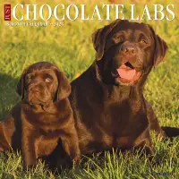 在飛比找博客來優惠-Just Chocolate Labs 2023 Wall 