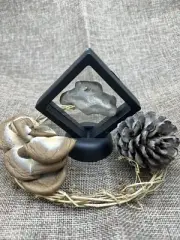 Hag Stone (Holey Stone) In Display Case #2
