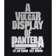 A Vulgar Display of Pantera