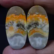 41.90 CT 100% Natural Bumble Bee Jasper Pair Cabochon Earring Supply Gemstone