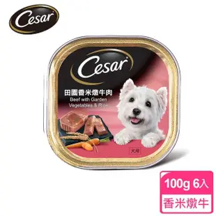 【Cesar西莎】精緻/風味餐盒 100g*24入 寵物/狗罐頭/狗食(任選)