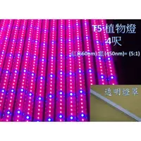 在飛比找蝦皮購物優惠-[晁光照明]LED 植物燈 水族燈 LED燈管 T5 4呎 