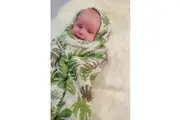 Snazzi Pants: Swaddle - Frond (120x120cm)