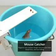 New Mouse Trap Catch Rat Trap Catch Walk The Plank Bucket Mice Auto Reset Humane