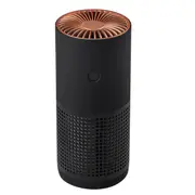 Portable Air Purifier Ozonizer HEPA Filters