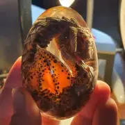 Hobbit Lava Dragon Egg Game of Thrones Harry Potter Dinosaur Eggs Souvenir HOT