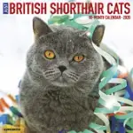 BRITISH SHORTHAIR CATS 2020 CALENDAR