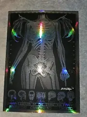 EMEK Queens of the Stone Age 2011 Kansas City FOIL Variant Signed PRINT QOTSA