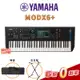 【金聲樂器】YAMAHA MODX6+ 61鍵專業合成器 2022全新上市