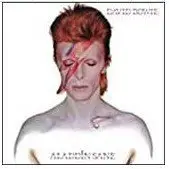 在飛比找Yahoo!奇摩拍賣優惠-David Bowie Aladdin Sane LP 黑膠
