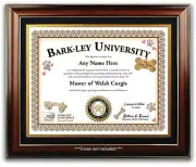 Welsh Corgi PERSONALIZED CERTIFICATE Diploma - Dog Tag Toy Puppy Training - GIFT